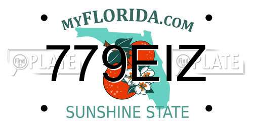 779EIZ Florida License Plate