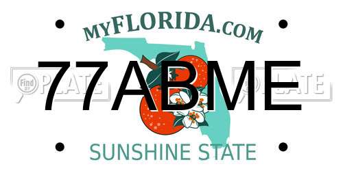 77ABME Florida License Plate