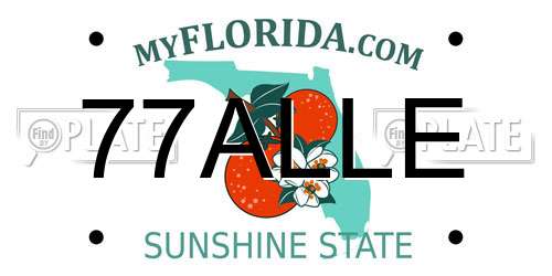 77ALLE Florida License Plate