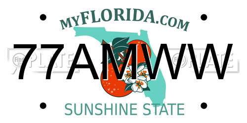 77AMWW Florida License Plate