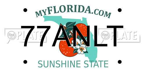 77ANLT Florida License Plate