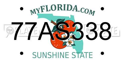 77AS338 Florida License Plate