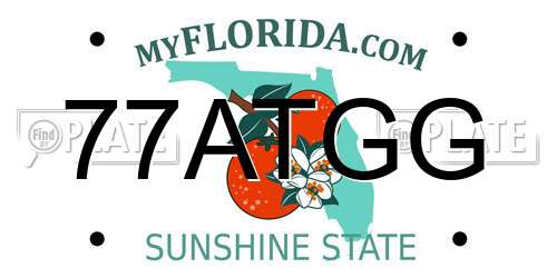 77ATGG Florida License Plate