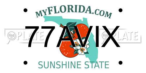 77AVIX Florida License Plate