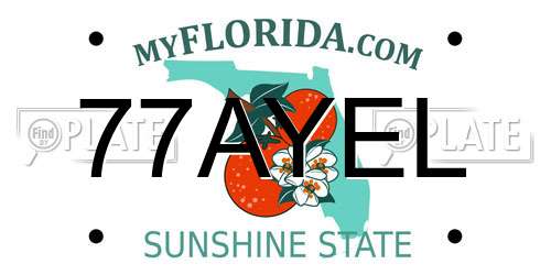 77AYEL Florida License Plate