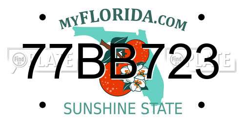 77BB723 Florida License Plate