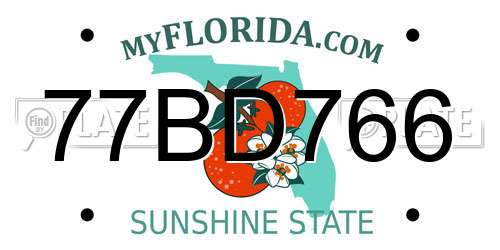 77BD766 Florida License Plate