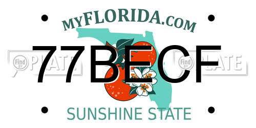 77BECF Florida License Plate