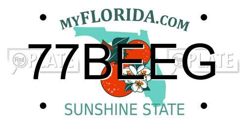 77BEEG Florida License Plate