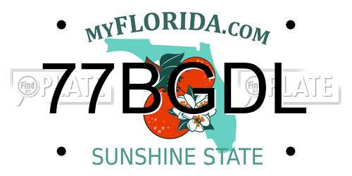 77BGDL Florida License Plate