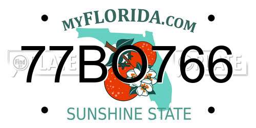 77BO766 Florida License Plate