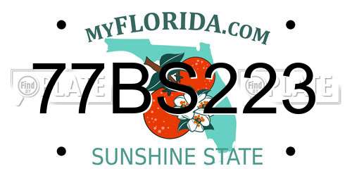 77BS223 Florida License Plate