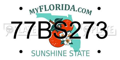 77BS273 Florida License Plate