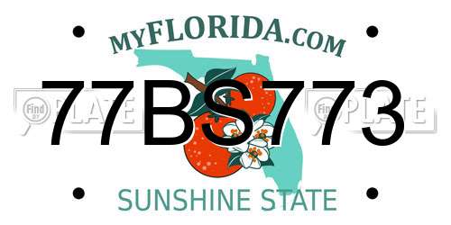 77BS773 Florida License Plate
