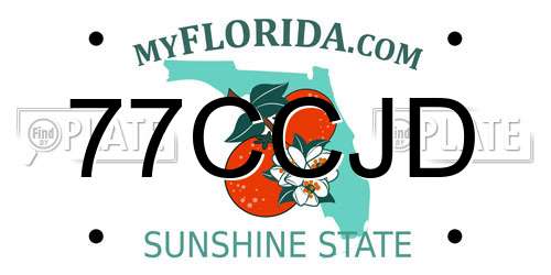 77CCJD Florida License Plate