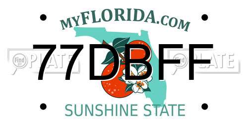 77DBFF Florida License Plate