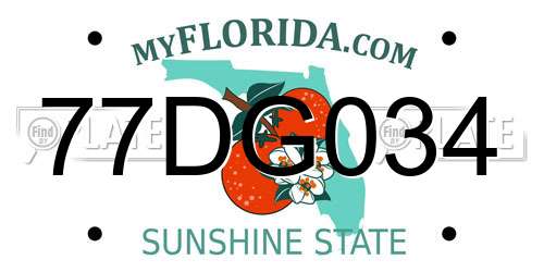 77DG034 Florida License Plate