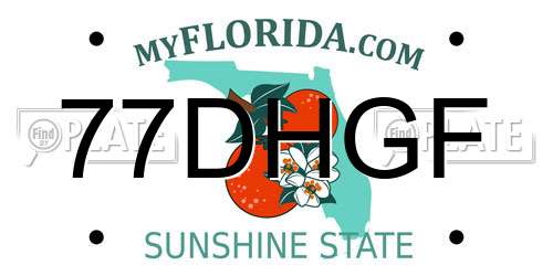 77DHGF Florida License Plate