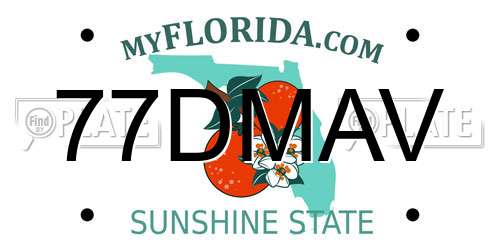 77DMAV Florida License Plate
