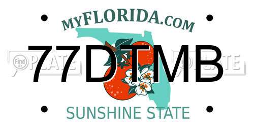 77DTMB Florida License Plate
