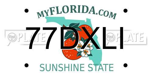 77DXLI Florida License Plate