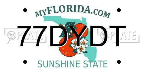 77DYDT Florida License Plate