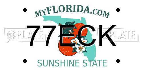 77ECK Florida License Plate