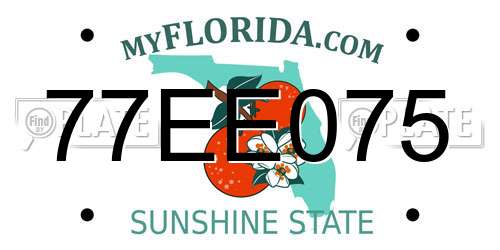 77EE075 Florida License Plate