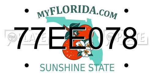 77EE078 Florida License Plate