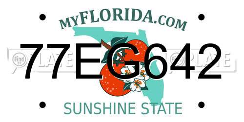 77EG642 Florida License Plate