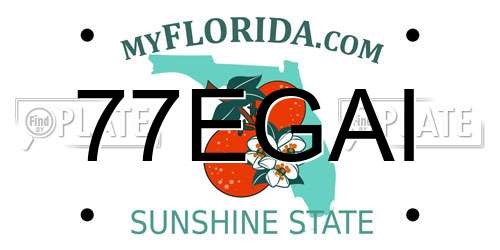 77EGAI Florida License Plate