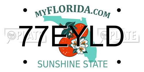 77EYLD Florida License Plate