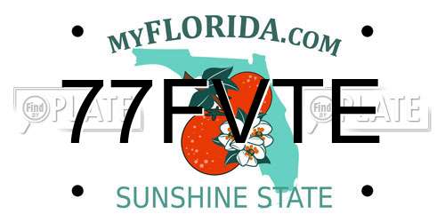 77FVTE Florida License Plate
