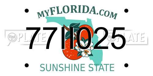 77II025 Florida License Plate