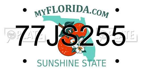 77JS255 Florida License Plate