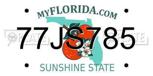 77JS785 Florida License Plate
