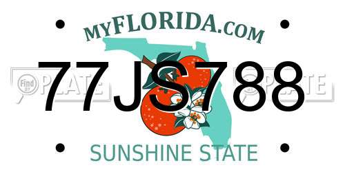 77JS788 Florida License Plate