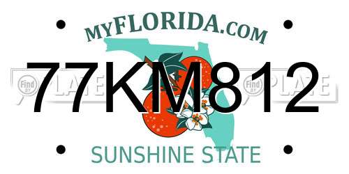 77KM812 Florida License Plate