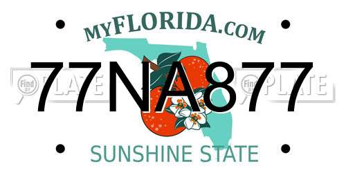 77NA877 Florida License Plate