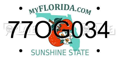 77OG034 Florida License Plate