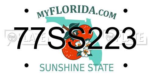 77SS223 Florida License Plate