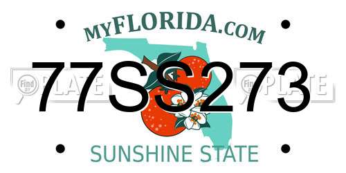 77SS273 Florida License Plate