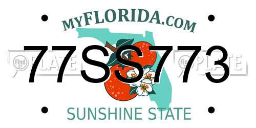 77SS773 Florida License Plate