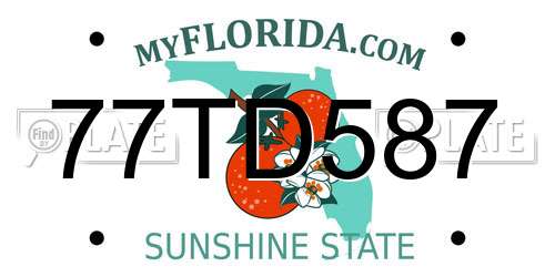 77TD587 Florida License Plate