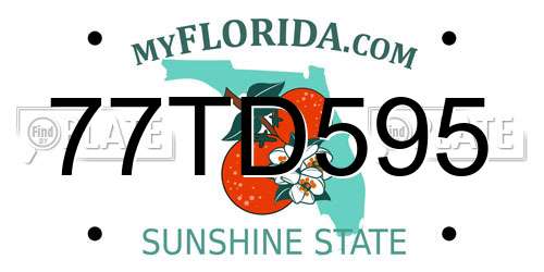 77TD595 Florida License Plate