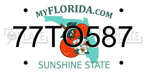 77TO587 Florida License Plate