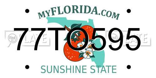 77TO595 Florida License Plate
