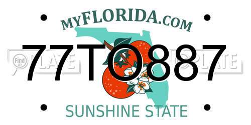 77TO887 Florida License Plate