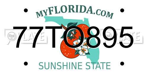 77TO895 Florida License Plate