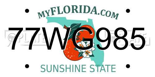 77WG985 Florida License Plate